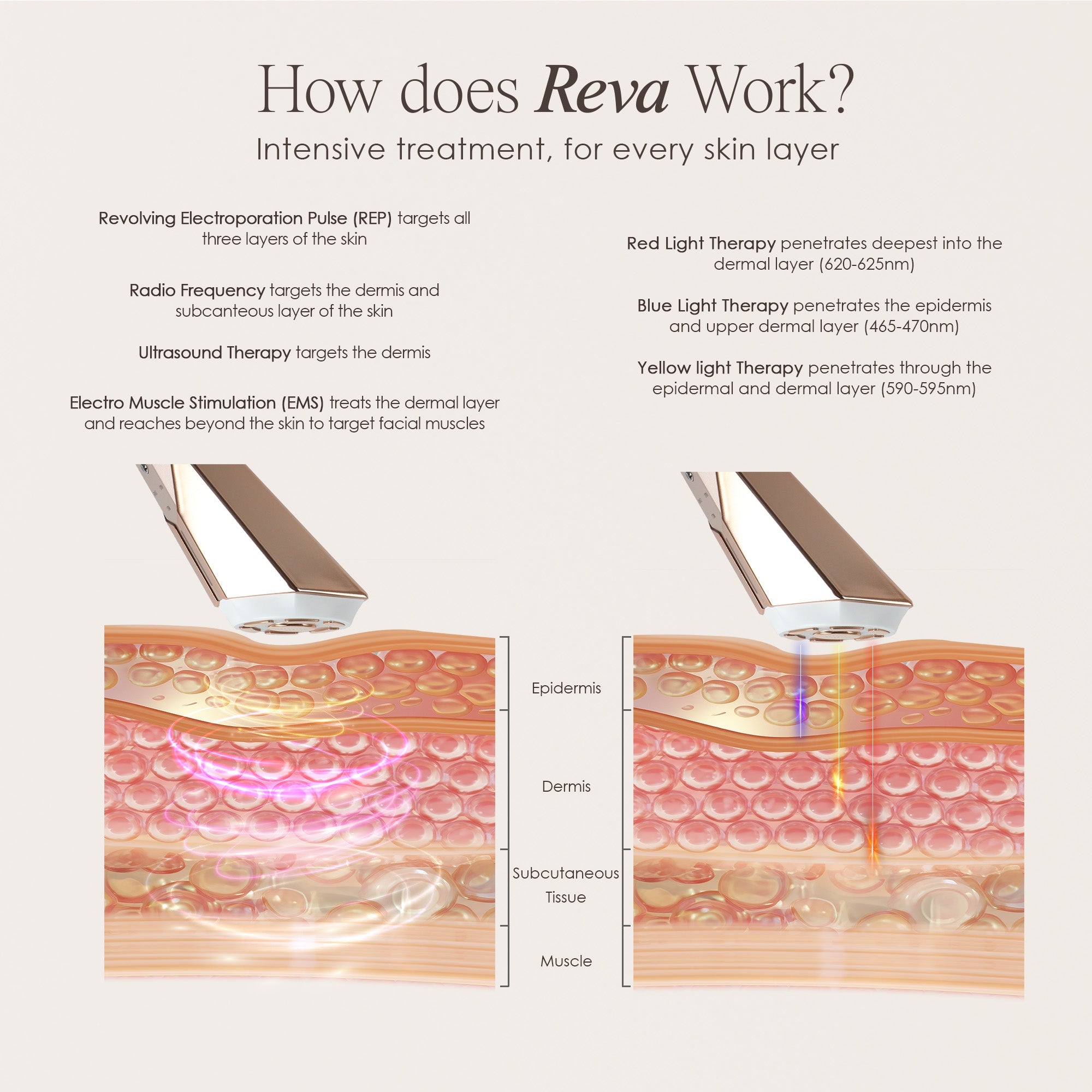 REVA | Instant Age Renewal Wand